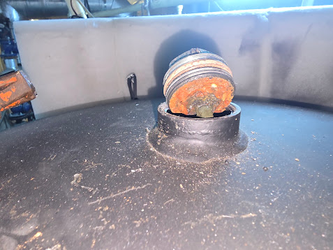 Erimiș Eski Anot Çubuğu